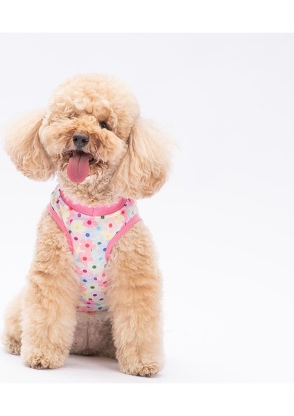 Spring Flowers Kedi Köpek Tişörtü - Kedi Köpek Kıyafeti fiyatları