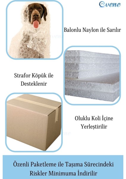 Dekoratif Biblo Oturan Aslan Heykel El Yapımı Hediyelik Süs Eşyası Model Aslan 2