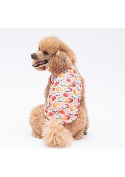 Love Macarons Kedi Köpek Tişörtü - Kedi Köpek Kıyafeti