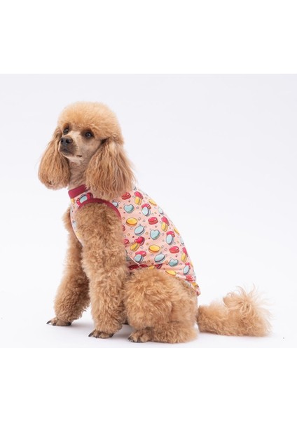 Love Macarons Kedi Köpek Tişörtü - Kedi Köpek Kıyafeti modelleri