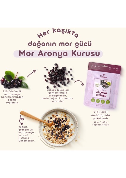 Aronya Kurusu 100 gr fiyatları