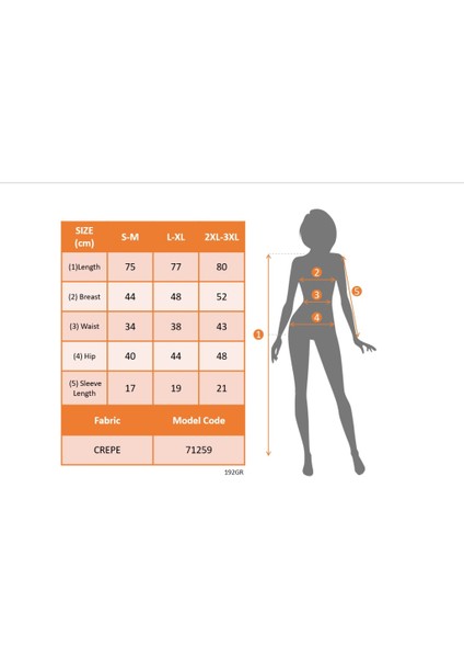 Kadın Kısa Kollu Yarı Balıkçı Yaka Tül Detaylı Kısa Janjan Krep Elbise