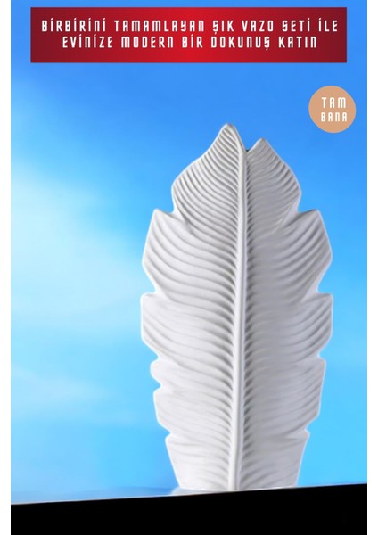 Siyah Dekoratif Vazo Seti Obje Ev Dekorasyon Masa Üstü Dekor Vazo Seti Model 30