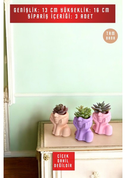 Dekoratif Vazo Seti Obje Ev Dekorasyon Masa Üstü Dekor Vazo Seti Model 28