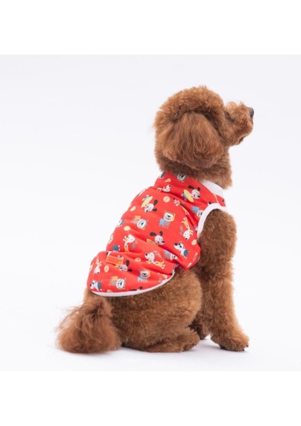 Holiday Dogs Kedi Köpek Tişörtü - Kedi Köpek Kıyafeti