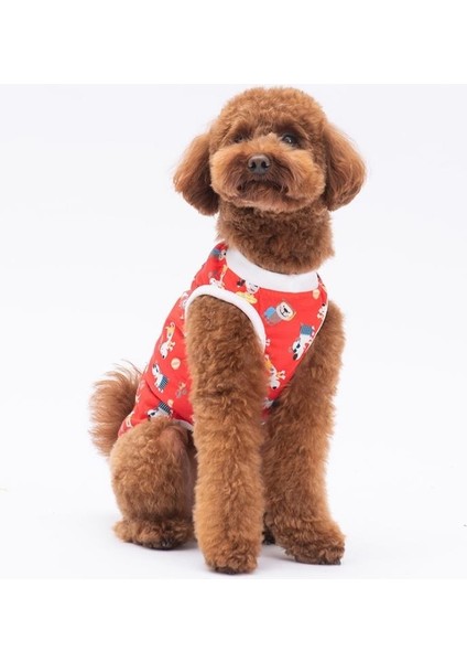 Holiday Dogs Kedi Köpek Tişörtü - Kedi Köpek Kıyafeti fiyatları