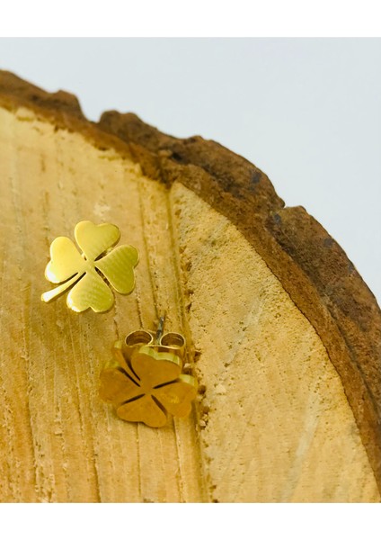 Gold Renk Figürlü Çelik Küpe