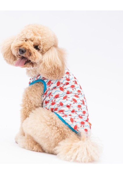 Fun Crabs Kedi Köpek Tişörtü - Kedi Köpek Kıyafeti