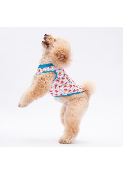 Fun Crabs Kedi Köpek Tişörtü - Kedi Köpek Kıyafeti modelleri