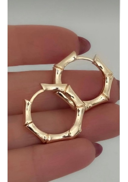 Çelik Kemik Küpe fiyatları