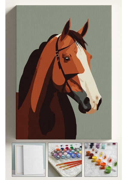 Sayılarla Boyama Çerçeveli Hobi Seti Numaralı Tuval Fırça Boya Dahil Kasnaklı 40X50 cm Drago At