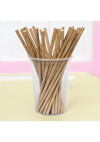 Kraft Karton Pipet 24 Adet