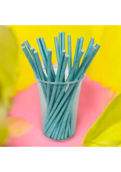 Turkuaz Karton Pipet 24 Adet