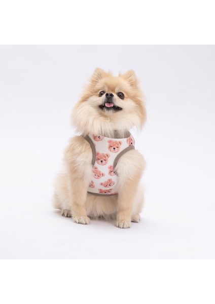 Cute Bears Kedi Köpek Tişörtü - Kedi Köpek Kıyafeti fiyatları