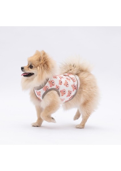 Cute Bears Kedi Köpek Tişörtü - Kedi Köpek Kıyafeti modelleri