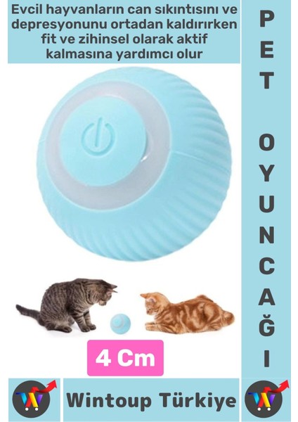 Eğlenceli Zararsız Pet Evcil Hayvan Eğitici Kedi Köpek Silikon 3 Modlu Şarjlı Interaktif Oyun Topu