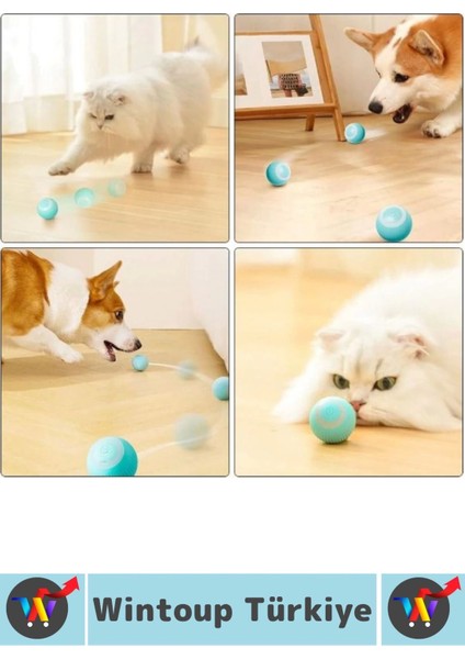 Eğlenceli Zararsız Pet Evcil Hayvan Eğitici Kedi Köpek Silikon 3 Modlu Şarjlı Interaktif Oyun Topu fiyatları