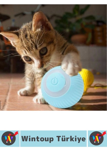 Eğlenceli Zararsız Pet Evcil Hayvan Eğitici Kedi Köpek Silikon 3 Modlu Şarjlı Interaktif Oyun Topu modelleri