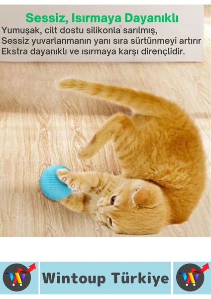 Eğlenceli Zararsız Pet Evcil Hayvan Eğitici Kedi Köpek Silikon 3 Modlu Şarjlı Interaktif Oyun Topu fırsatları
