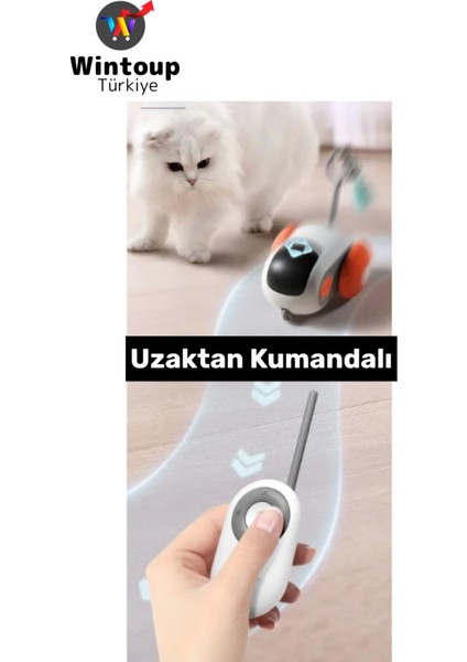 Evcil Hayvan Kedi Fiziksel Gelişm Ilgi Çekici Eğlenceli Şarjlı Uzaktan Kumandalı Robot Kedi Oyuncağı