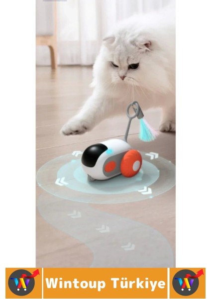 Evcil Hayvan Kedi Fiziksel Gelişm Ilgi Çekici Eğlenceli Şarjlı Uzaktan Kumandalı Robot Kedi Oyuncağı fiyatları