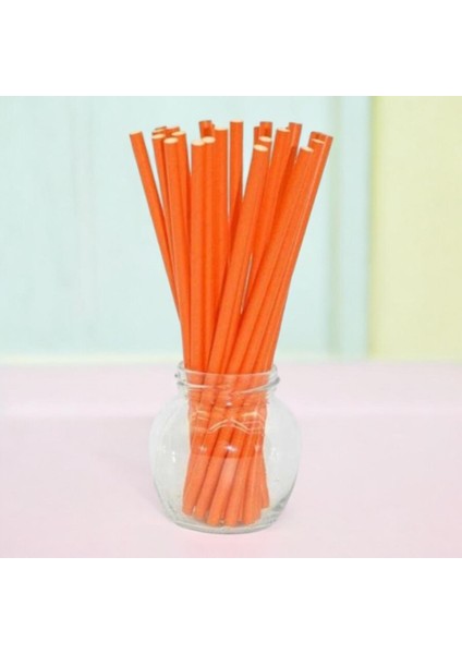 Turuncu Karton Pipet 24 Adet