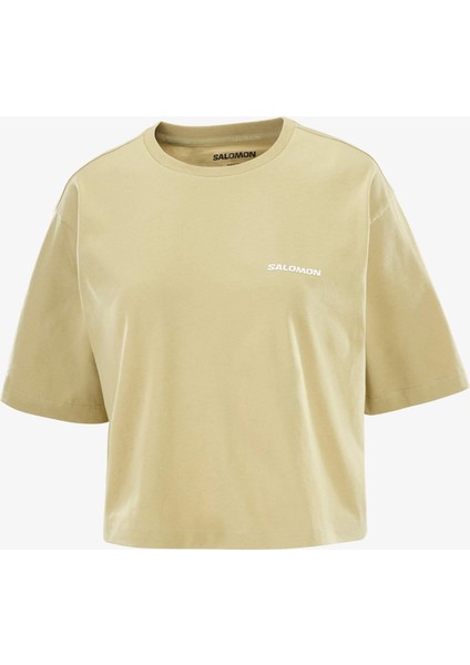 Short Relaxed Kadın Tişört Gray Green LC2680800