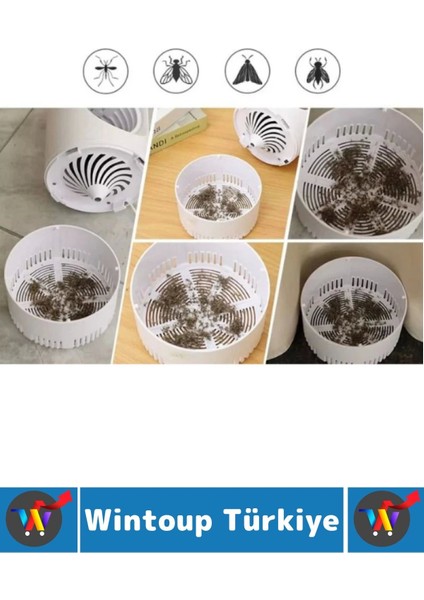 Premium Kimyasal Içermez 6 Uv Işıklı Sessiz Çalışır Gece Lambası Kullanımlı Haşere Sinek Öldürücü fırsatları