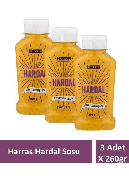 Hardal Sos Hardal Sosu 3 Adet x 260GR