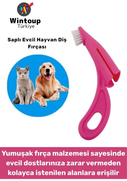 Ergonomik Kolay Tutuş Zararsız Yumuşak Fırça Yavru Kedi Köpek Evcil Hayvan Diş Fırçası