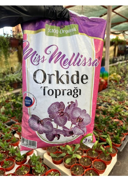 Orkide Toprağı Özel 3 Litre modelleri