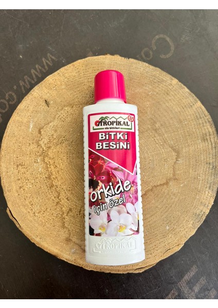 Orkide Bitki Besini