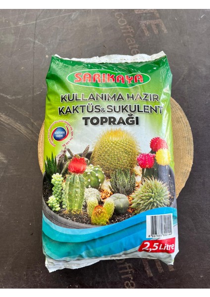Kaktüs Sukulent Toprağı 2,5 Litre fiyatları