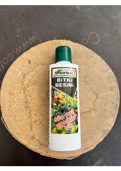 Yeşil Yapraklı Bitkilere Uygun Bitki Besini