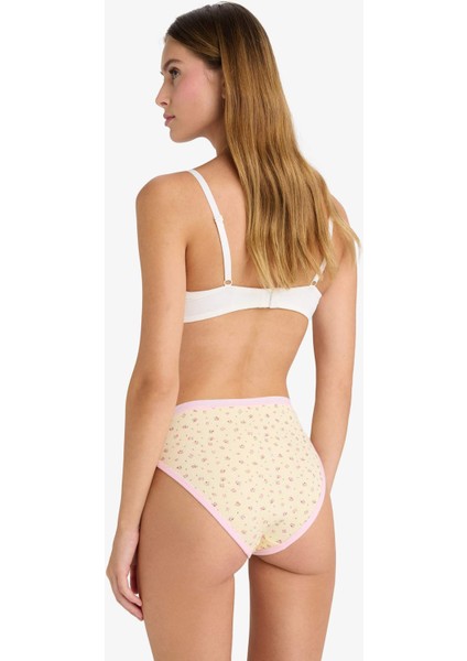 Ribana 3'lü Brief Külot-Fall in Love F3076AX25AU indirimleri