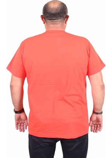 Erkek Büyük Beden Sıfır Yaka Tişört Identity 25189 Nar Çiçeği modelleri