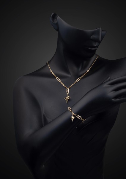 Gurmet Zincirli Kuzey Yıldızı Takı Seti 14 Ayar Altın fiyatları