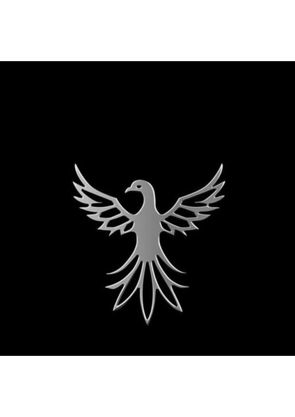 925 Ayar gümüş kolye anka kuşu SM7773