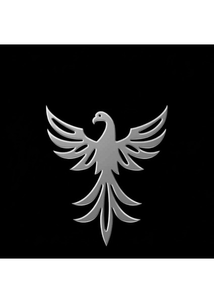 925 Ayar gümüş kolye anka kuşu SM7768