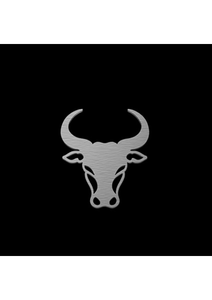 925 Ayar Gümüş Kolye Boğa SM8222