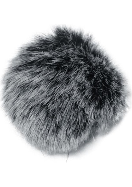 link Mikrofon Tüyü