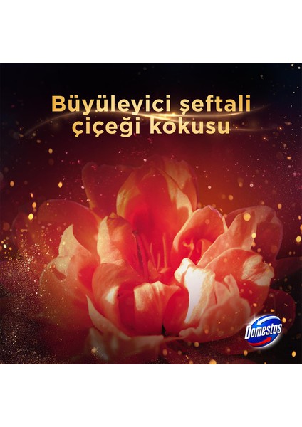 Aroma Lux Tuvalet Bloğu Şeftali Çiçeği 100G
