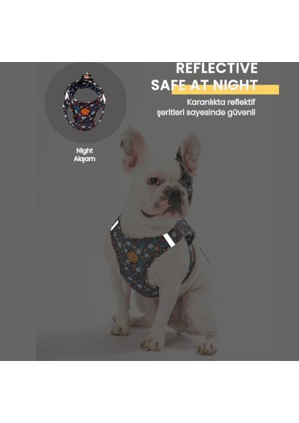 Paris 2li Air-Mesh Köpek Göğüs Tasması Kedi Göğüs Tasması Köpek Tasması indirimleri