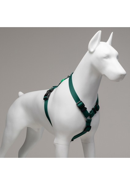 Brazil H Tipi Göğüs Tasması Beden S modelleri