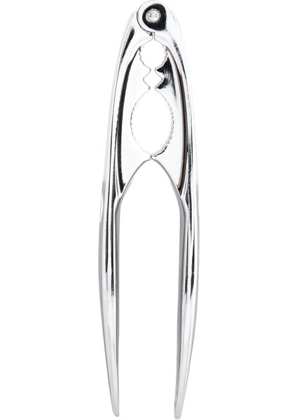 Concept Handy Fındık Kıracağı