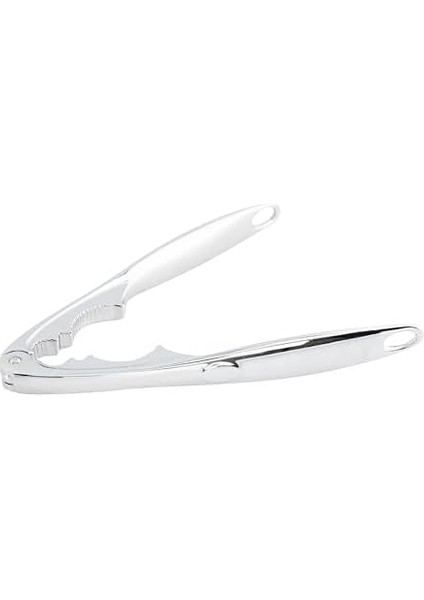 Concept Handy Fındık Kıracağı fiyatları