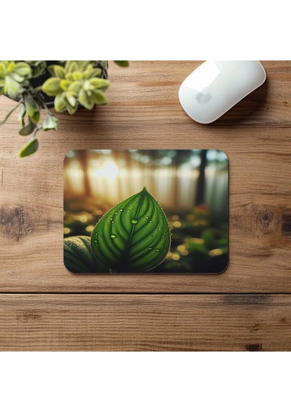Çiy Damlalı Yaprak Üzeri Mousepad - 19X23 cm 2 mm Dikdörtgen Ithal Baskılı Mouse Pad fırsatları