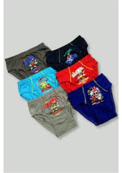 Erkek Çocuk Çok Renkli Baskılı 12 Li Külot