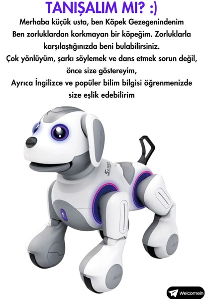 Oyuncak Uzaktan Kumandalı 22 Fonksiyonlu Smart Interaktif Akıllı Robot Köpek Sesli Ve Işıklı Hareketli Kumandalı Sevimli Dost fırsatları