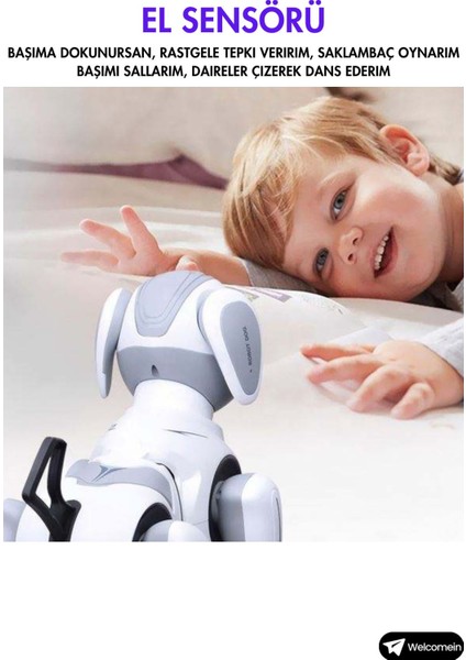 Oyuncak Uzaktan Kumandalı 22 Fonksiyonlu Smart Interaktif Akıllı Robot Köpek Sesli Ve Işıklı Hareketli Kumandalı Sevimli Dost